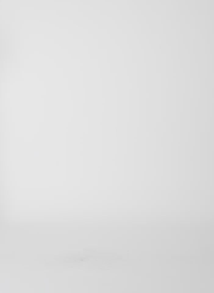 Navy Tropical Wool Scottie Jogger - video on model