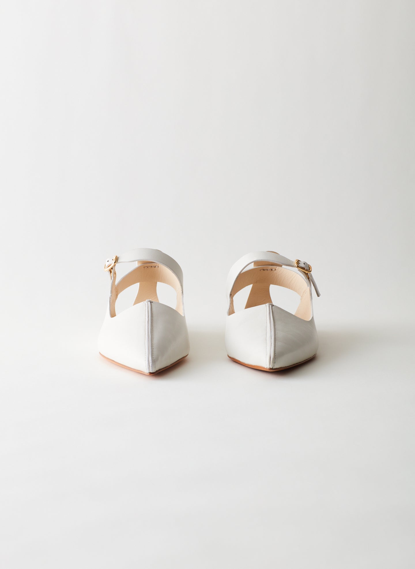 White-04