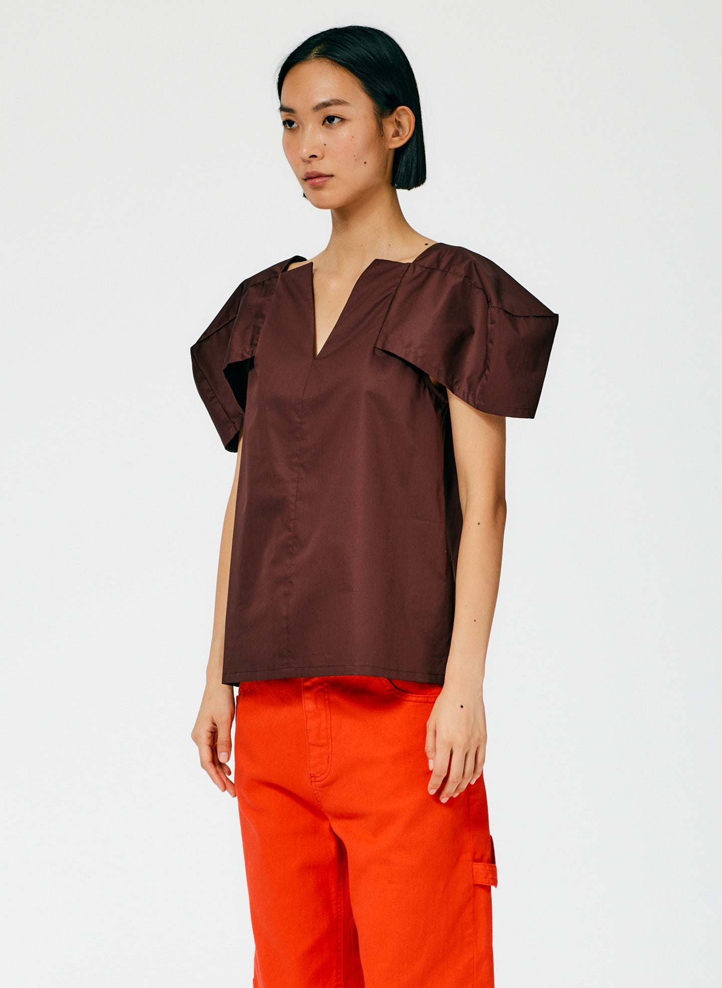 Brown-03
