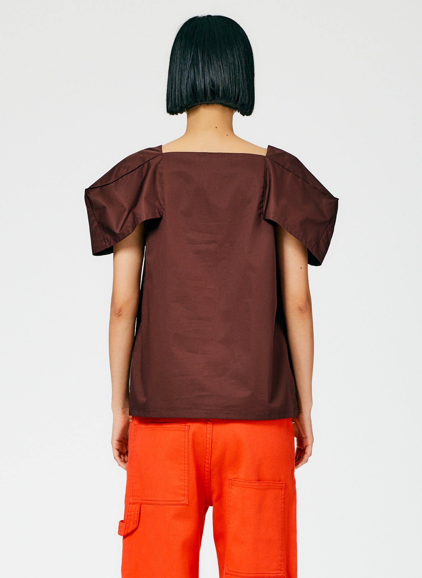 Brown-04