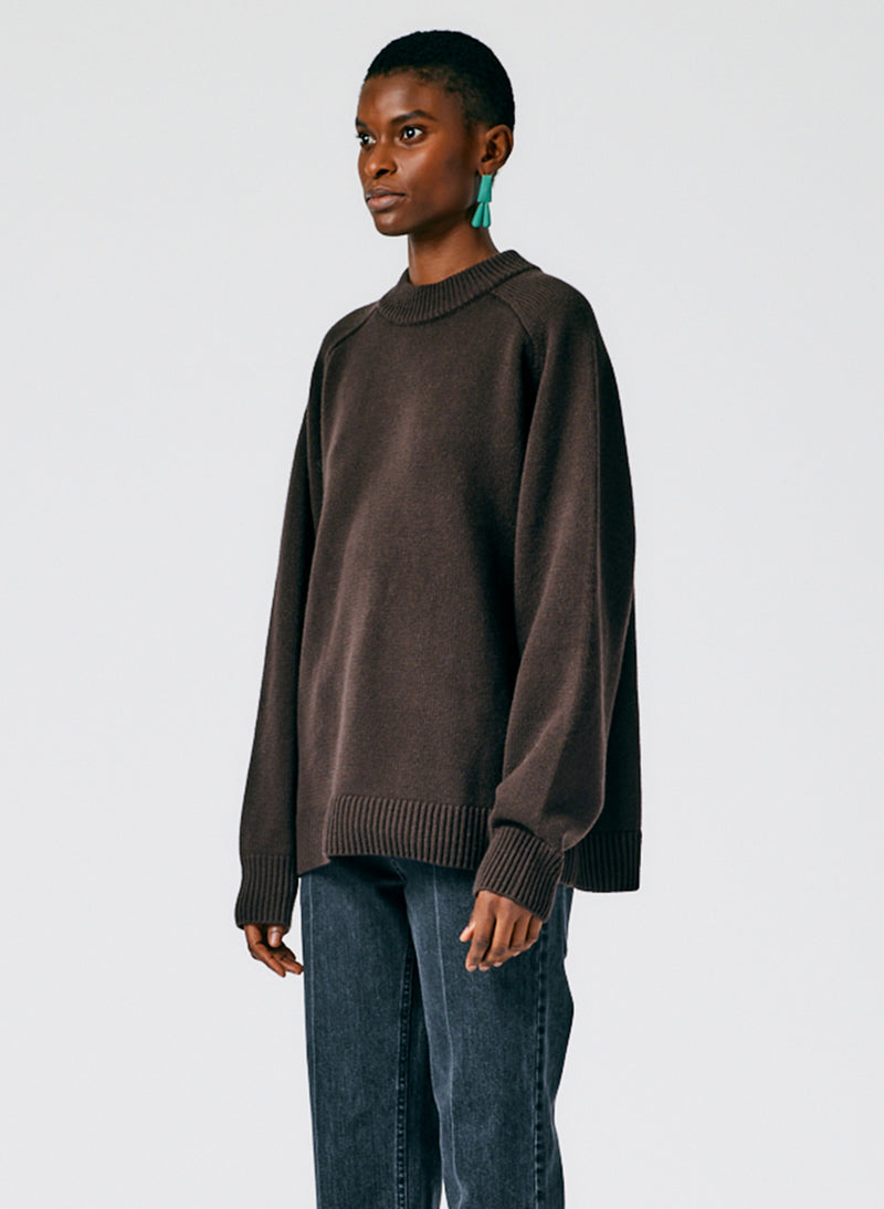 Cashmere Crewneck Oversized Sweater – Tibi Official